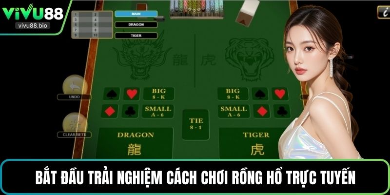 Bắt đầu trải nghiệm cách chơi Rồng Hổ trực tuyến