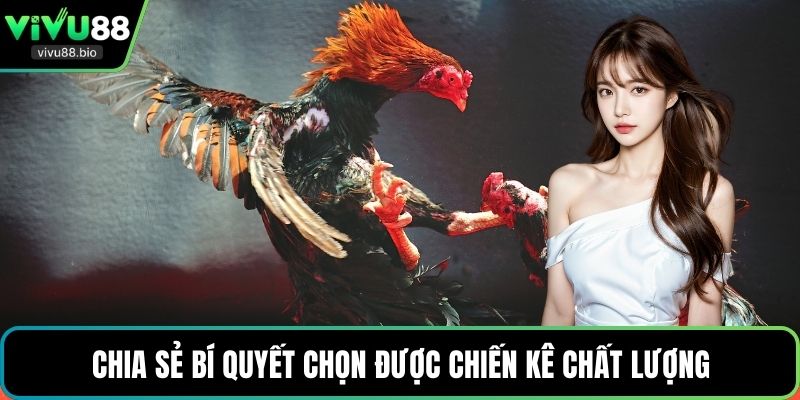 Chia sẻ bí quyết chọn được chiến kê chất lượng