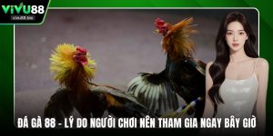 Đá gà 88