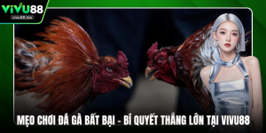 Mẹo chơi đá gà