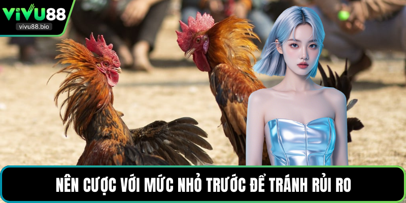 Nên cược với mức nhỏ trước để tránh rủi ro