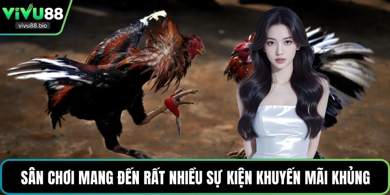 Sân chơi mang đến rất nhiều sự kiện khuyến mãi khủng